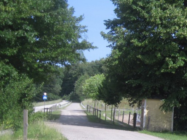 Foto von heute