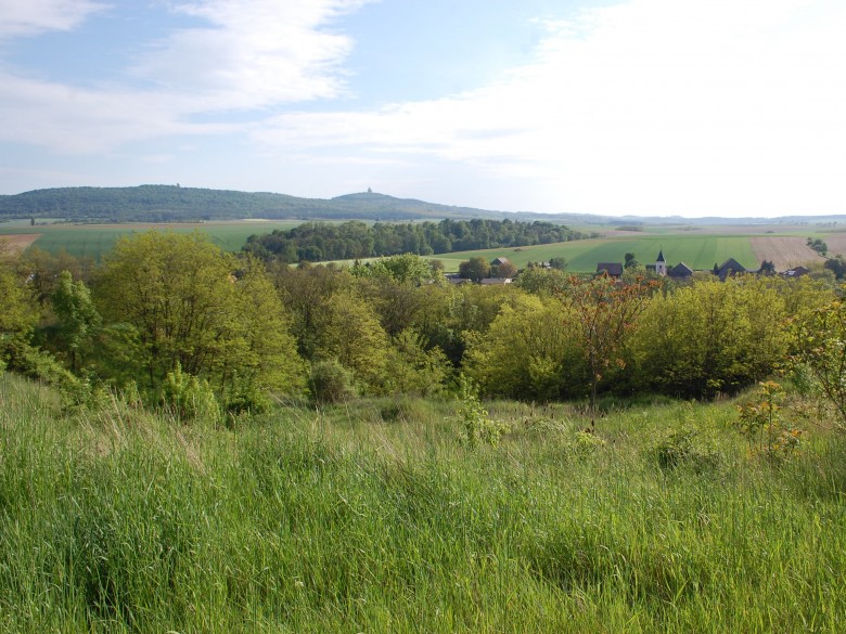 Foto von heute