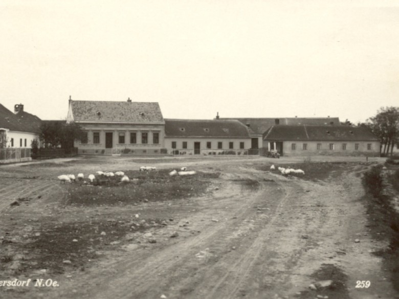 Foto von damals