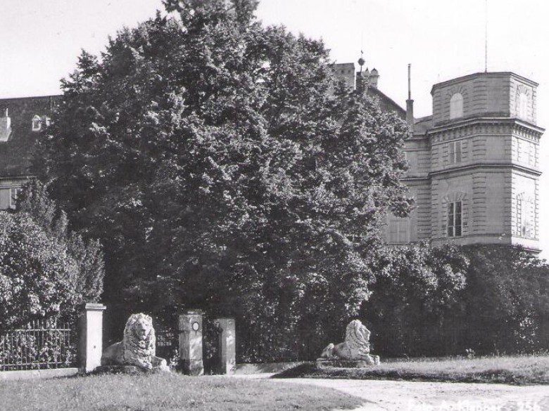 Foto von damals