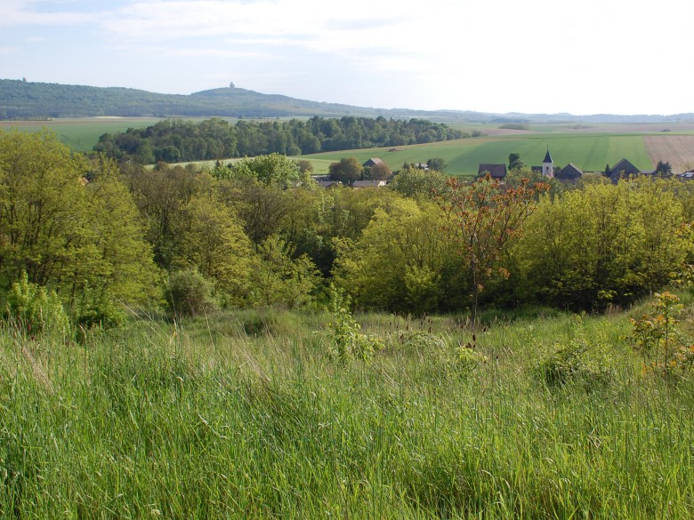 Foto von heute