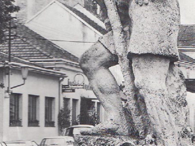 Foto von damals